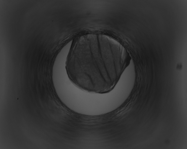 X0000091861156200710031034