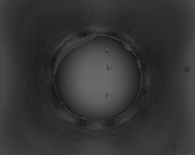 X0000091861157200710031034