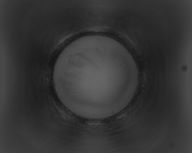 X0000091861158200710031034