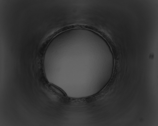 X0000091861159200710031034