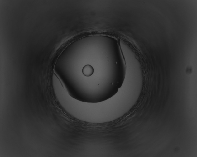 X0000091861160200710031034