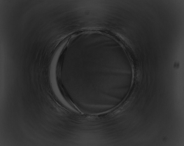 X0000091861161200710031034