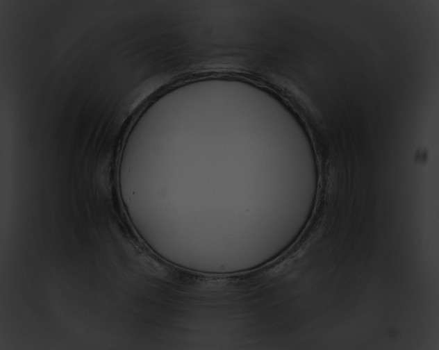 X0000091861162200710031034