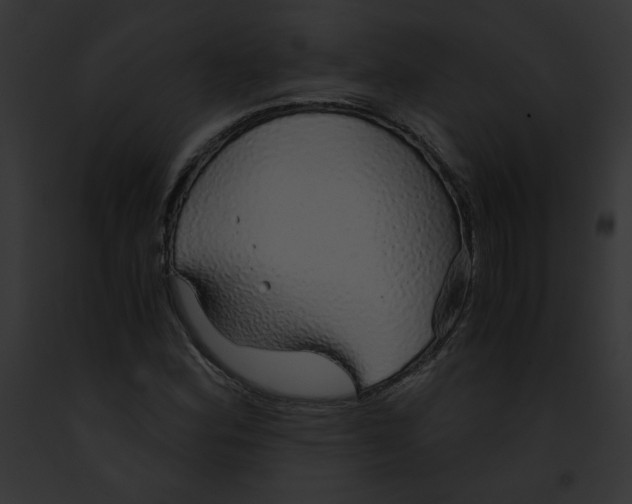 X0000091861164200710031034