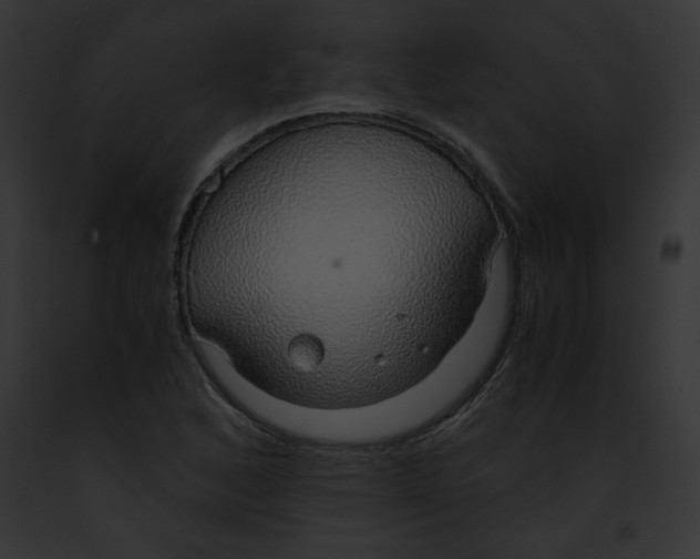 X0000091861168200710031034