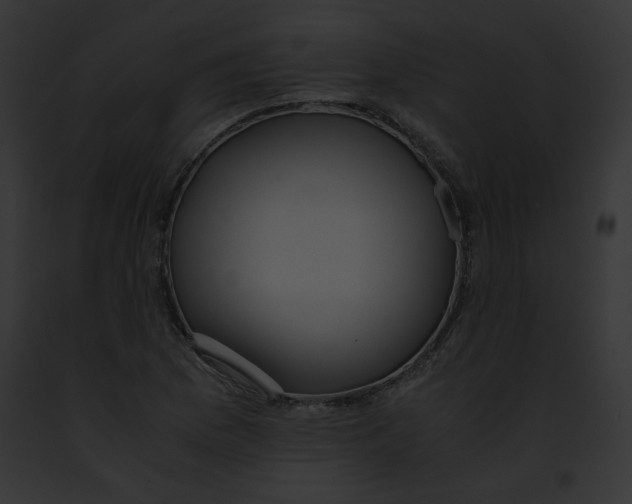 X0000091861169200710031034