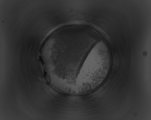 X0000091861170200710031034