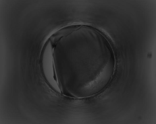 X0000091861173200710031034