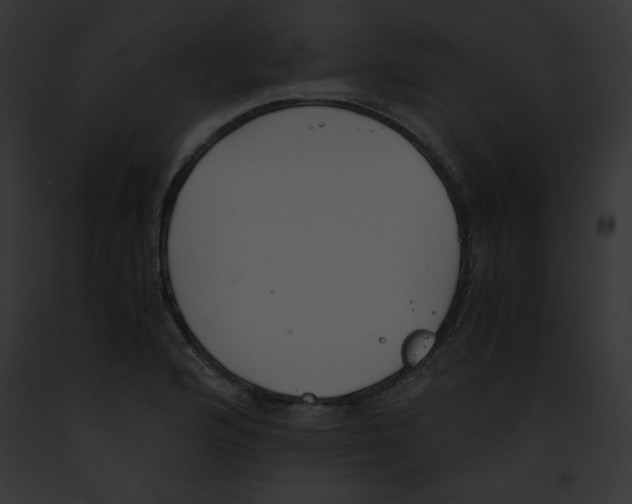 X0000091861176200710031034