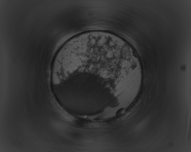 X0000091861179200710031034