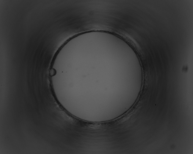 X0000091861182200710031034