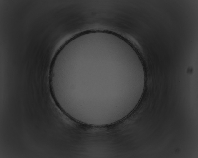 X0000091861183200710031034