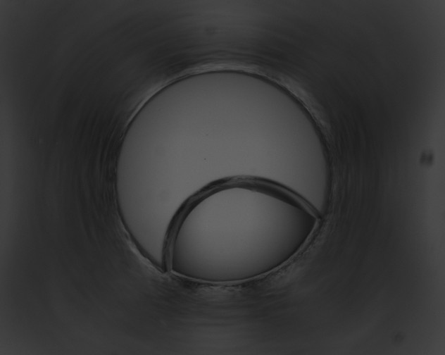 X0000091861185200710031034