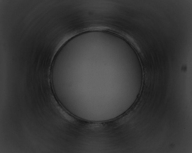 X0000091861186200710031034