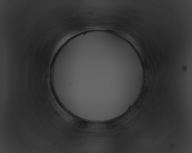 X0000091861187200710031034