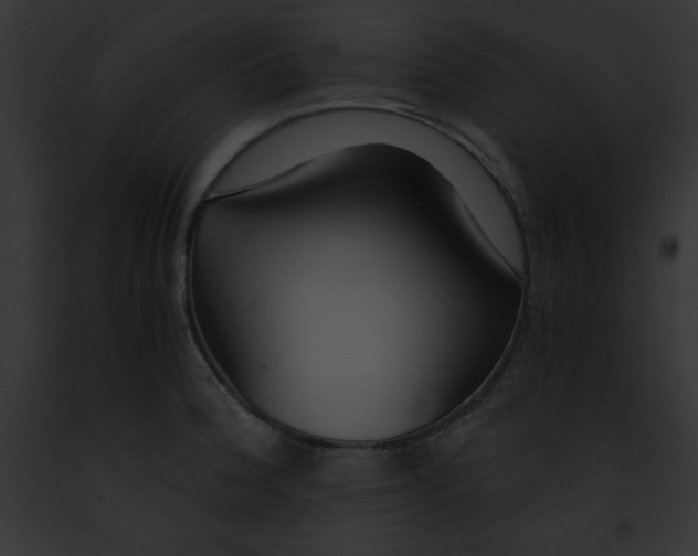 X0000091861188200710031034