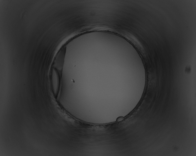 X0000091861190200710031034