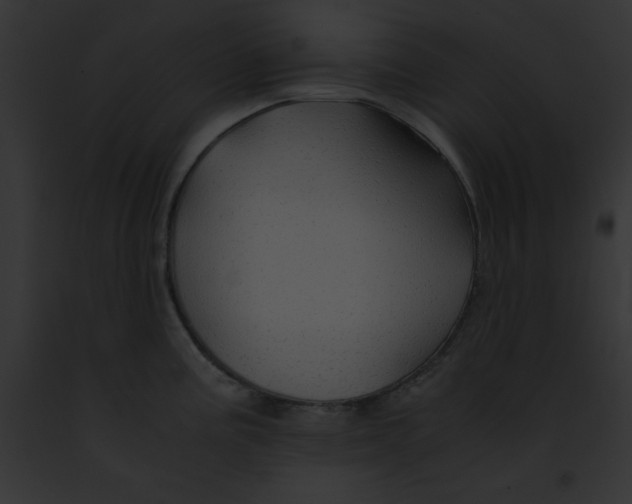 X0000091861195200710031034