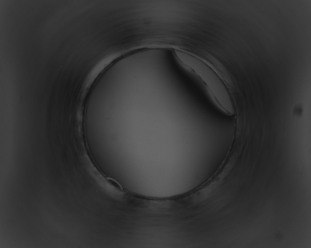 X0000091861196200710031034