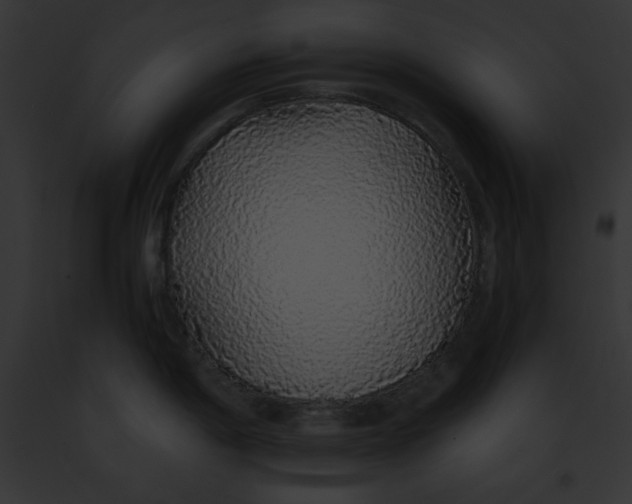 X0000091861198200710031034