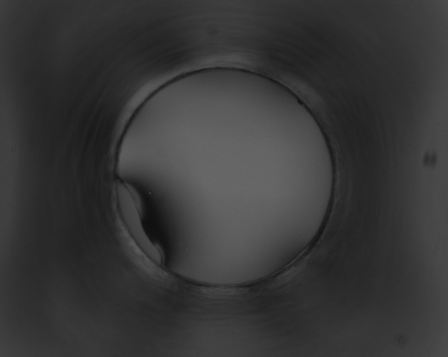 X0000091861200200710031034