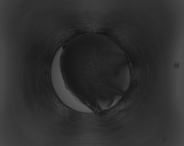 X0000091861202200710031033