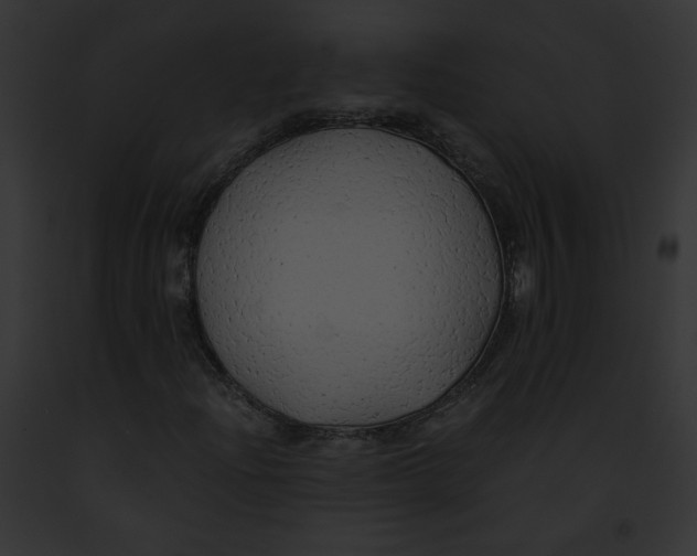 X0000091861204200710031033