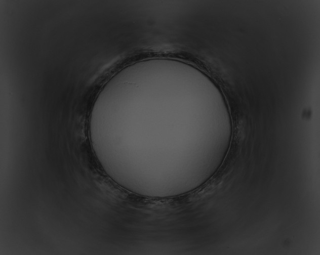 X0000091861205200710031033