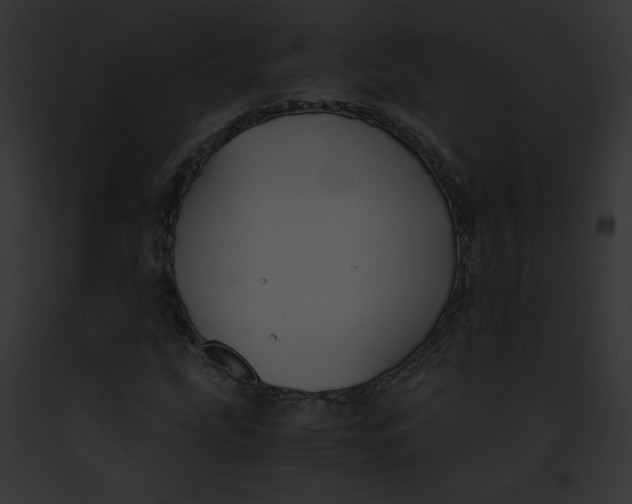 X0000091861207200710031033