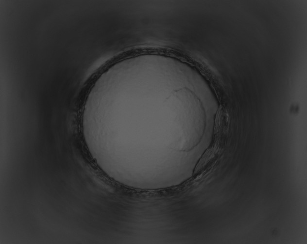 X0000091861208200710031033