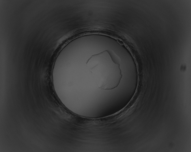 X0000091861210200710031033