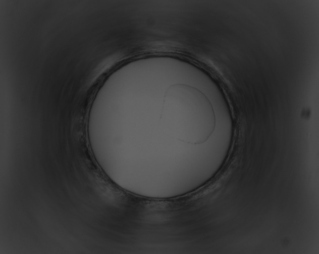 X0000091861211200710031033