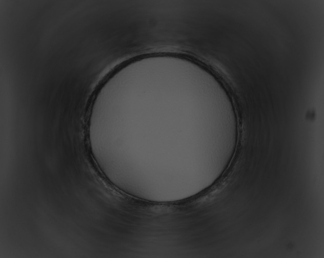 X0000091861212200710031033