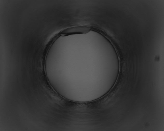 X0000091861214200710031033