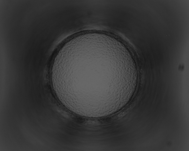 X0000091861215200710031033