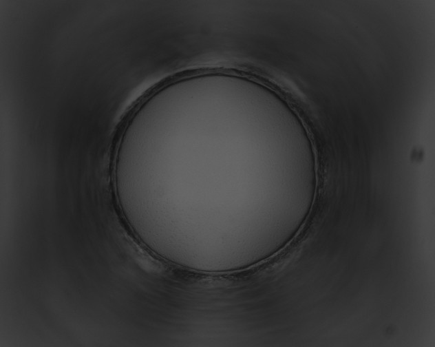 X0000091861216200710031033