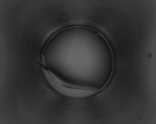 X0000091861218200710031033