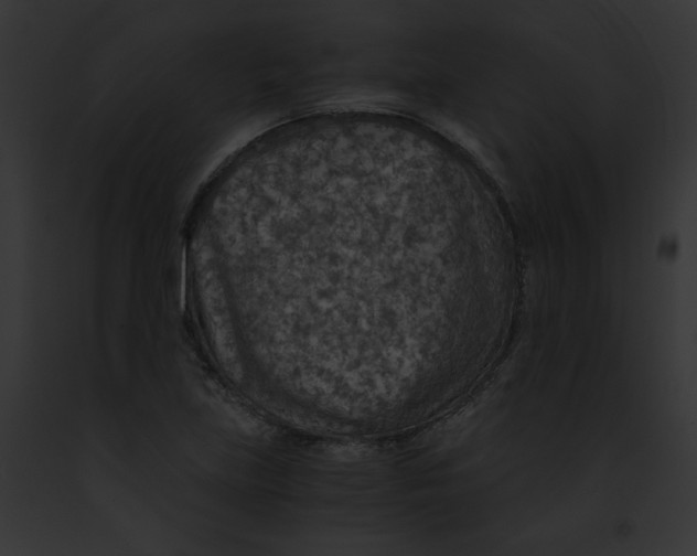 X0000091861219200710031033