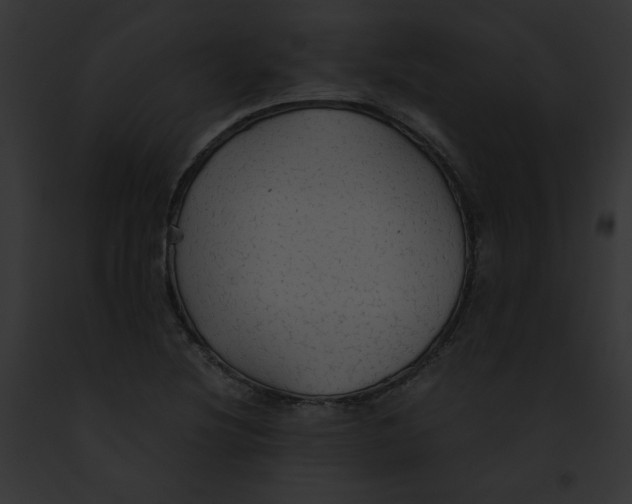 X0000091861220200710031033