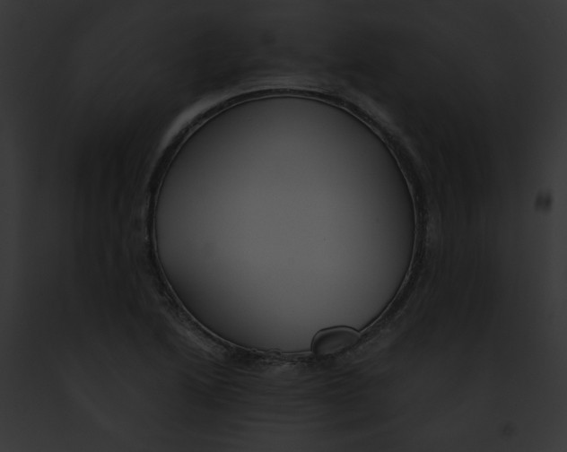 X0000091861222200710031033