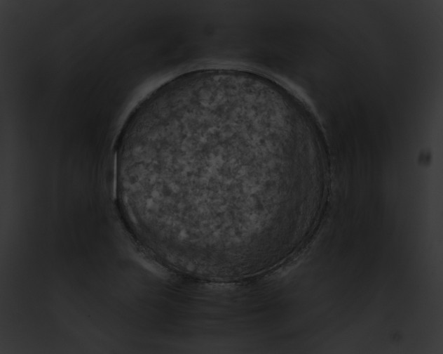 X0000091861223200710031033