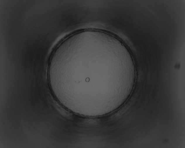 X0000091861224200710031033