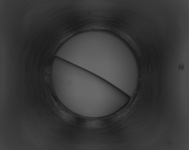 X0000091861225200710031033