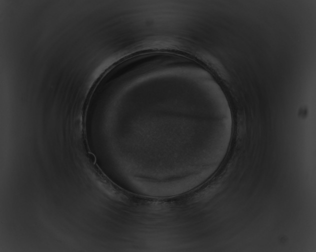 X0000091861226200710031033