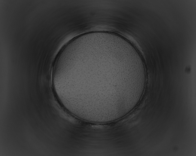 X0000091861227200710031034