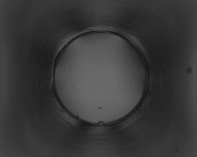 X0000091861228200710031034