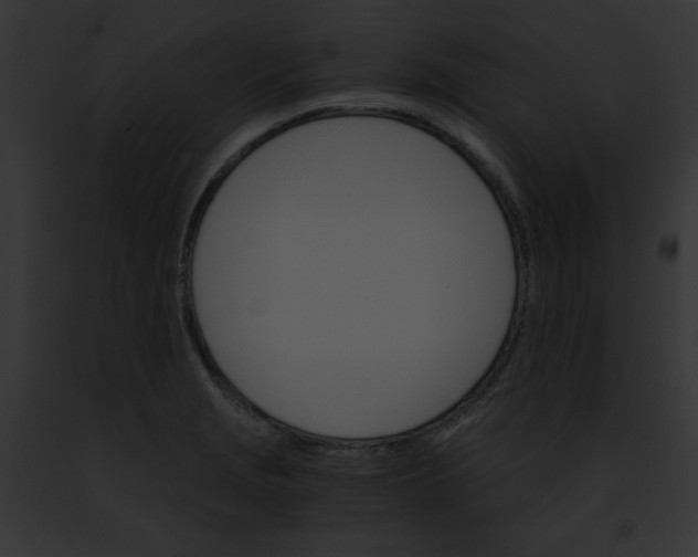 X0000091861229200710031034