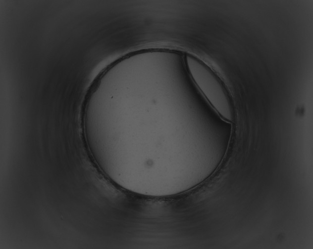 X0000091861230200710031034