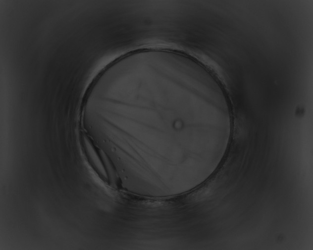 X0000091861231200710031034