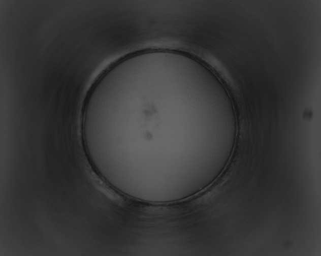 X0000091861232200710031034